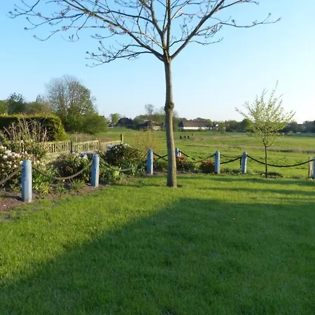 Wiese Daire Langstedt